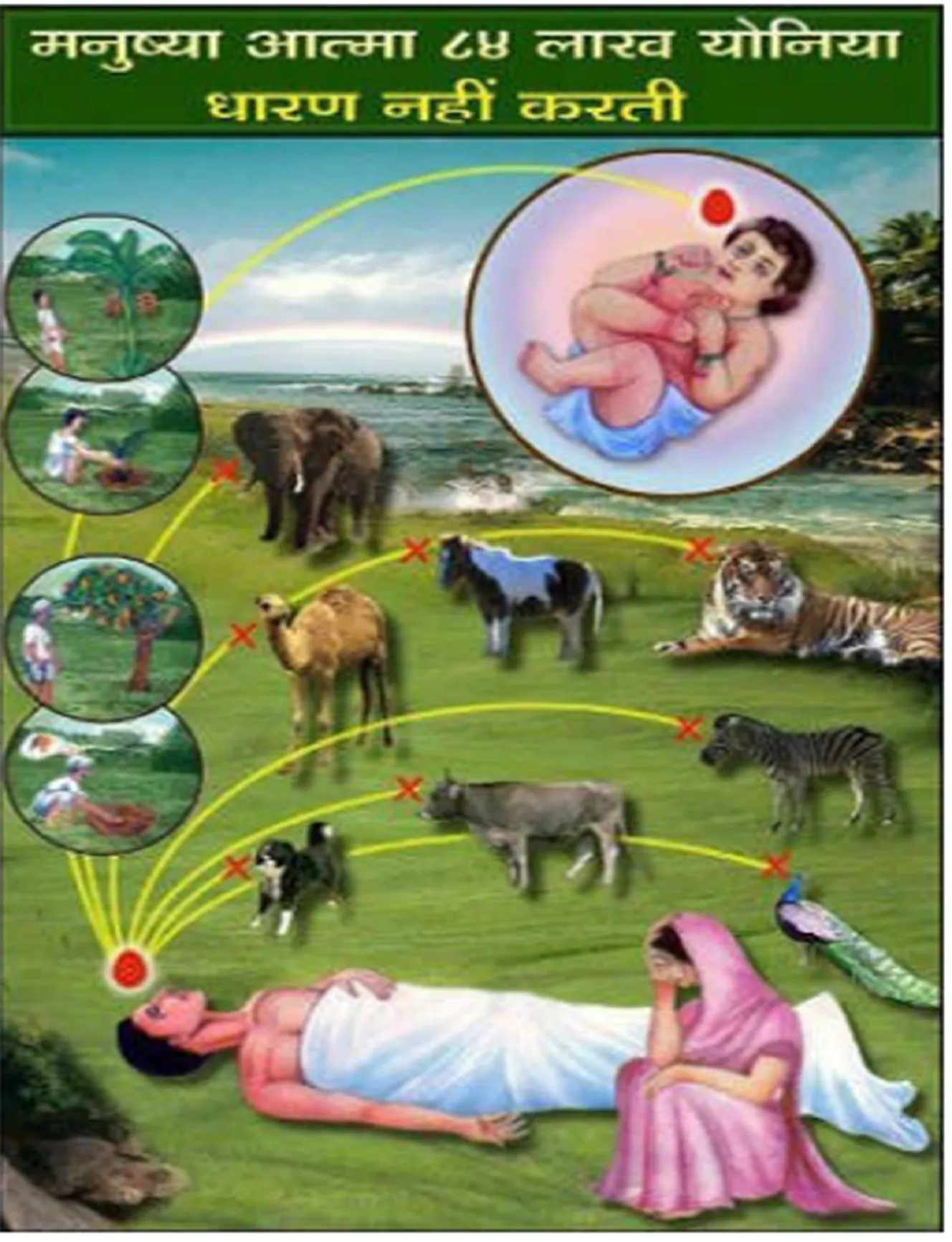 Human souls don't incarnate in 84 lakh species.